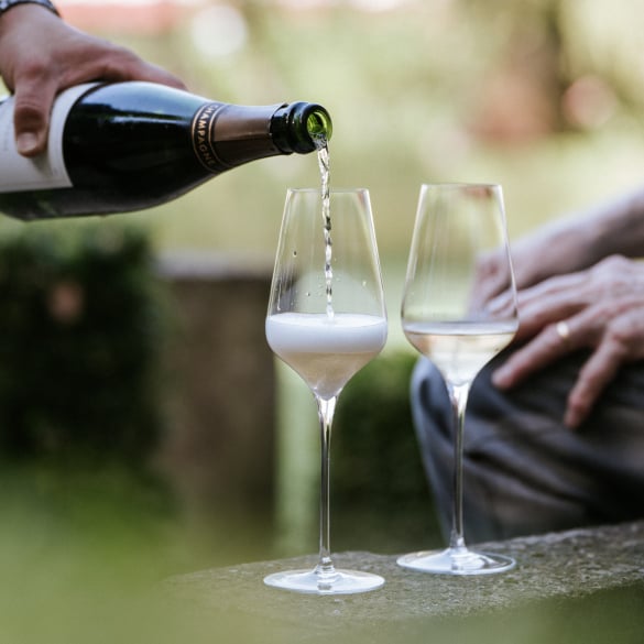 Darsonville R.1996 - Bérèche