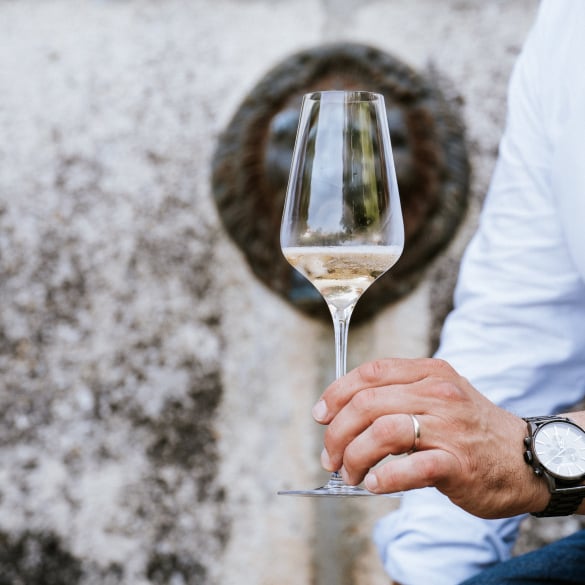 Darsonville R.1996 - Bérèche