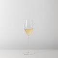 Veloce Champagne Wine Glass