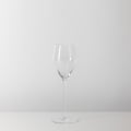 Veloce Champagne Wine Glass